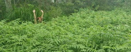 missmenace of exclusive star picture