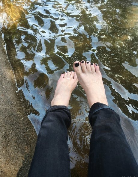 msdidi k perfect star archive