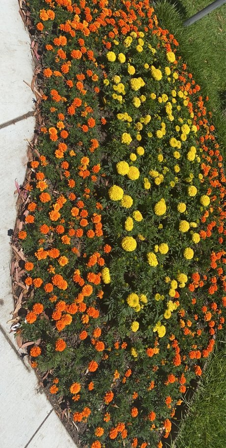 Mycoolstar xxx pornstar photos