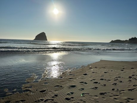 MikeHoncho pornstar high quality gallery