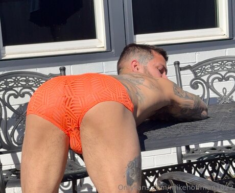 Michael A Hoffman model art images