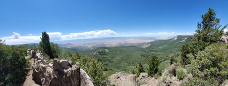 Will Wright nude pornstar image