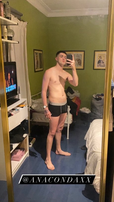 Anacondaxxfree adult star img