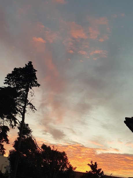 Cardoso star top img