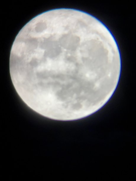 mina rose_ hd pornstar photos