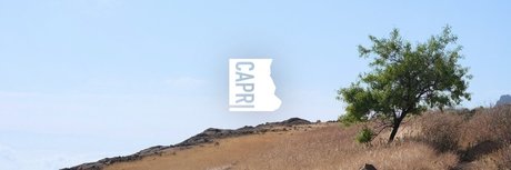 Capri adult star gallery