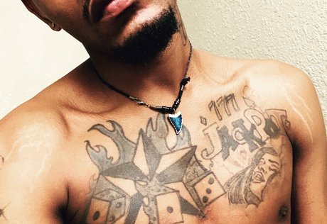 Capo free model galleries