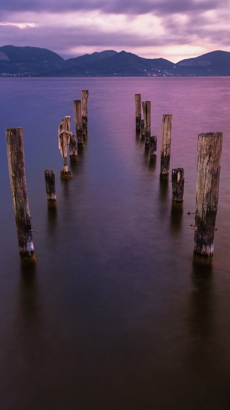 CarlyMR beautiful star pictures