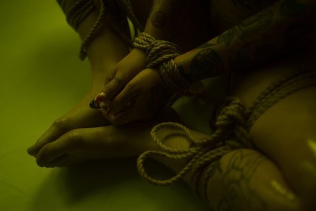 Dex pornstar high quality photos