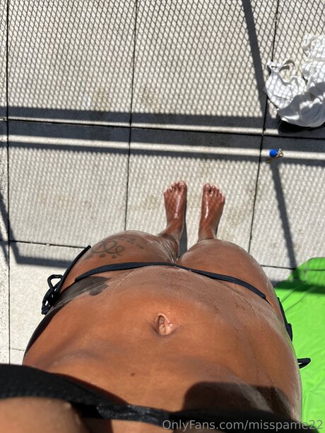 Pamela Aray_ pornstar art image