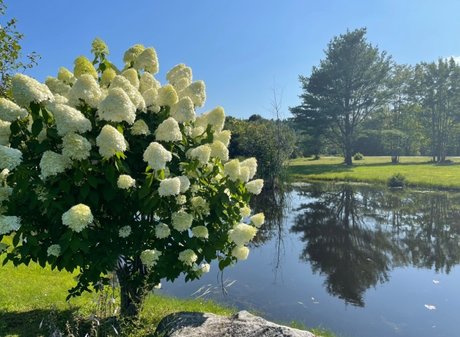 Miss Jen pretty actress picture