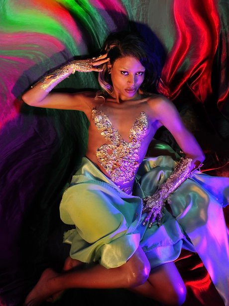 Zen Exotics_ beautiful star archive