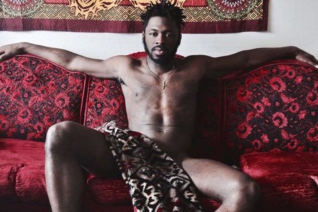 Mister lee pornstar adult image