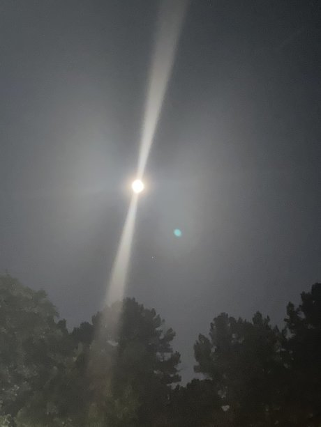 Ign2017 star best image