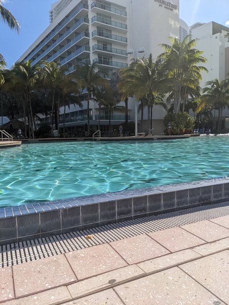 Let s Play fair star top pictures