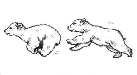 Morbo_ art pornstar pictures