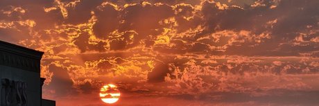 NYZIP nice model pictures