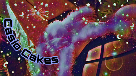 Casio LSDreamz model xxx archive