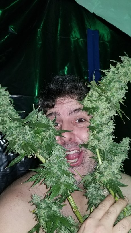 Al13N pornstar beautiful gallery