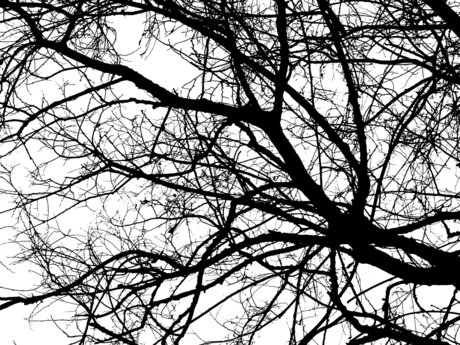 Morgan Modeus high quality model pictures