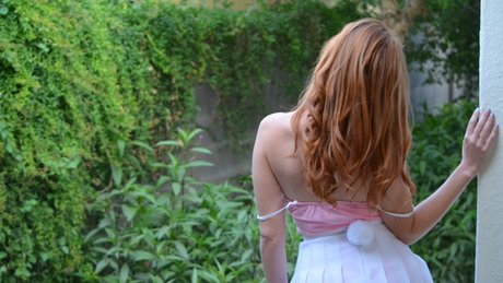 Ginger Lee Clam adult actress pictures