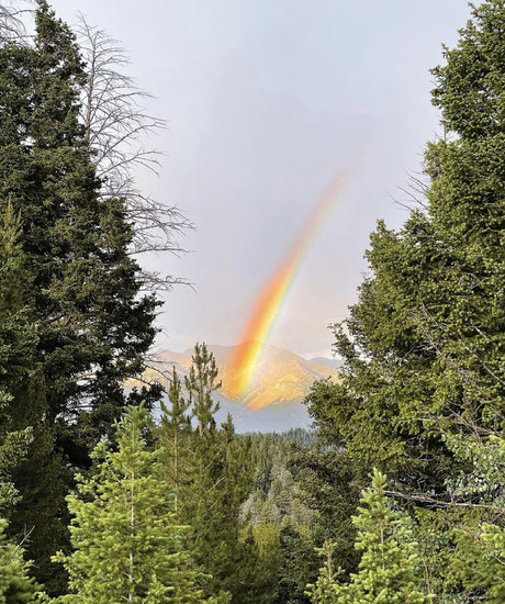 Wonderboi adult actress picture