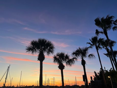 H A N N A H pretty star galleries