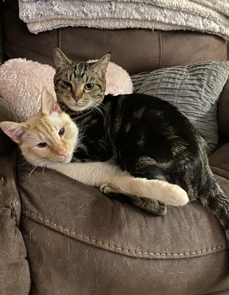 savanahroses pornstar xxx pictures