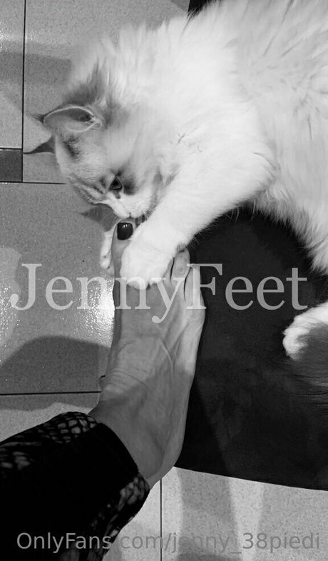 jenny 38piedi top pornstar photos