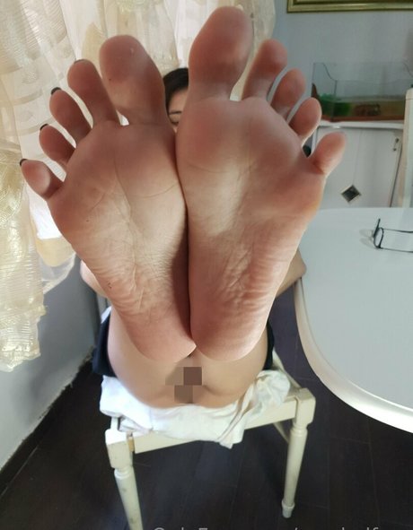 maybelfree star perfect image