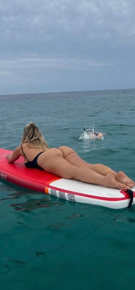 Bebe Rexha star picture