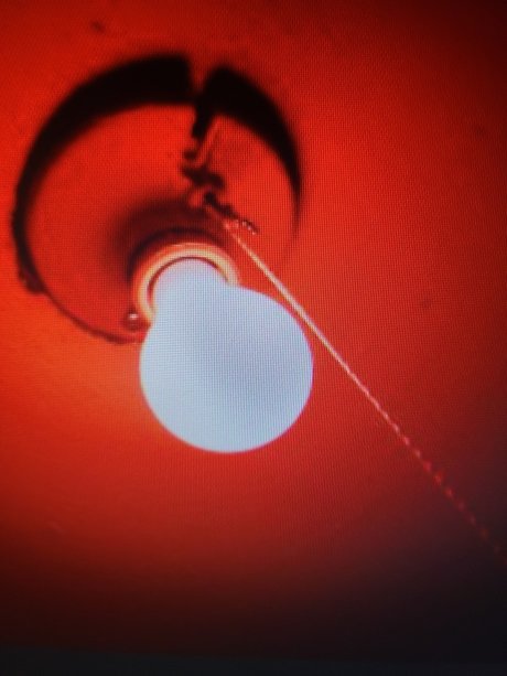 My Red Light District profile pic