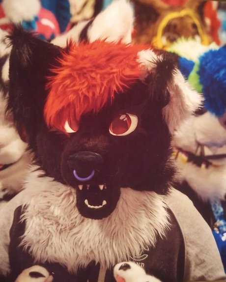 Kota naked star pics