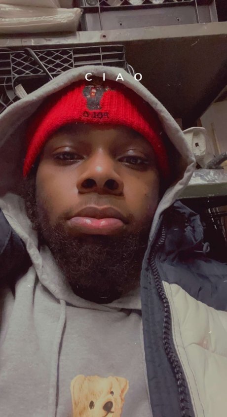 Bully pornstar art galleries