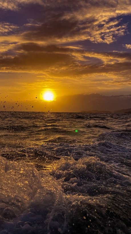 now we re connected thru expreSSion_ pornstar sex photo