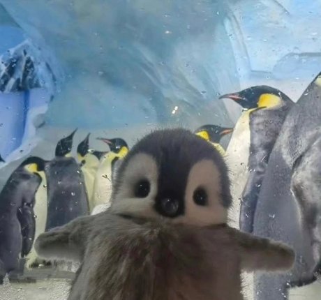 _DD_ pornographic actress images