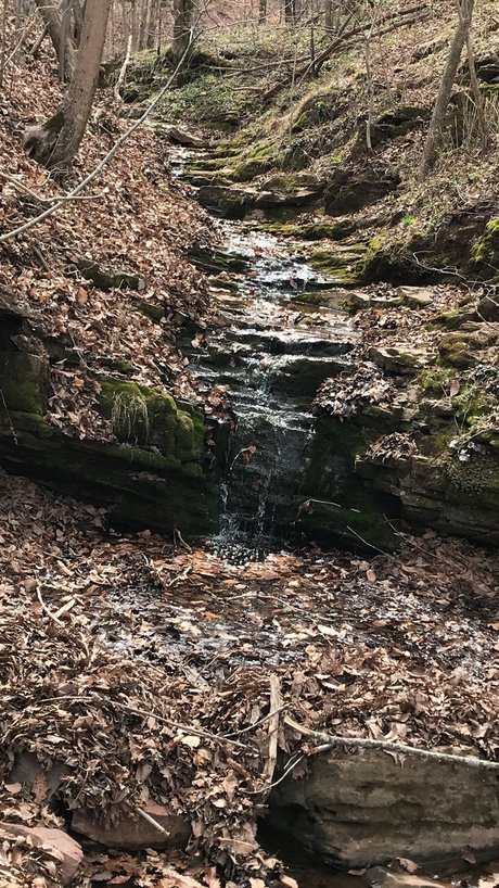 Z0R0D0M star pornographic pictures