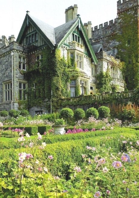 curly and curvy model sex archive