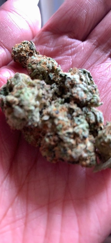 CraveJames star exclusive pictures