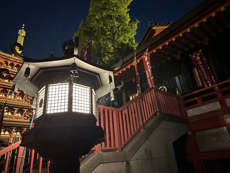 Cova erotic star photos