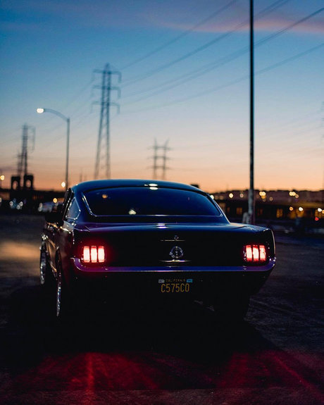 Nico Labeau nudes model gallery