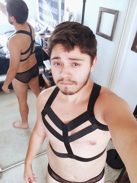 Cub Hub high quality star gallery