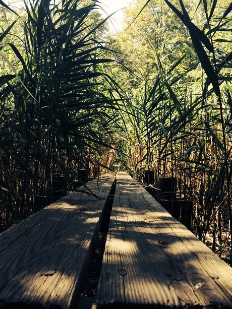 ChocolateThunder model erotic photos