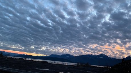 Msbellebeauty erotic pornstar pic