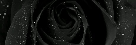 Ni as in Paris pornstar image