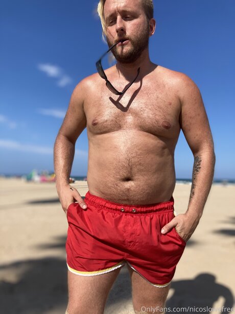 Nicos lowe pornstar art photo