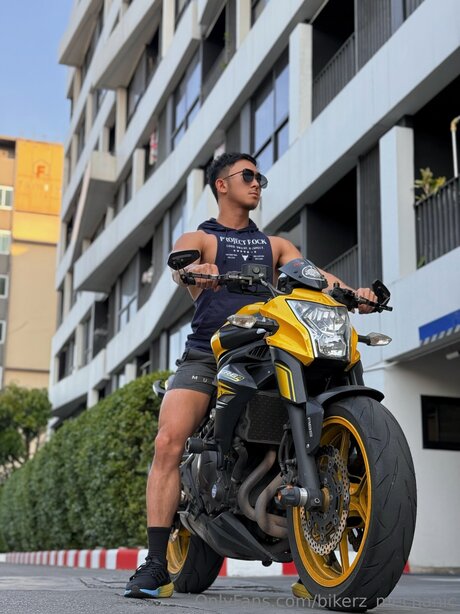 BANK pretty pornstar image