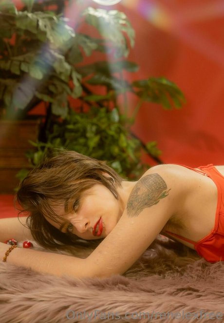 renelexfree star sex galleries