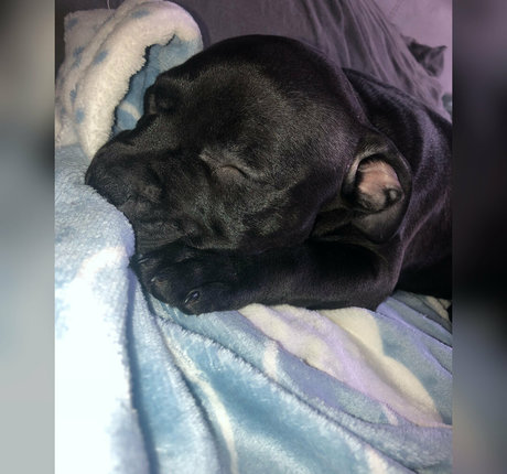 kyxxx model sex gallery