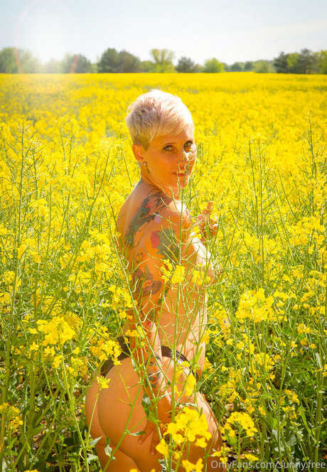 famez de star hd img